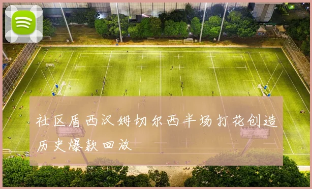 社区盾西汉姆切尔西半场打花创造历史爆款回放