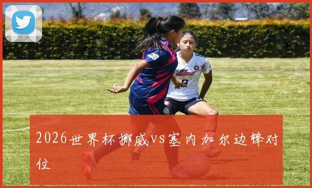 2026世界杯挪威vs塞内加尔边锋对位