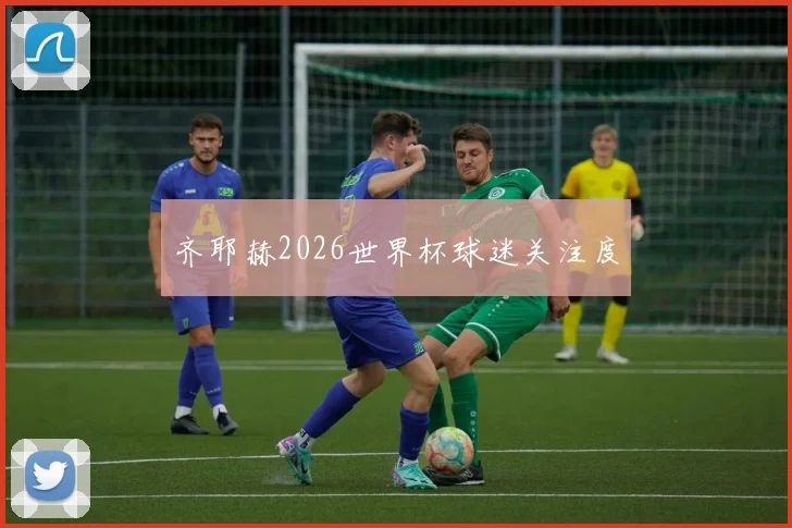 齐耶赫2026世界杯球迷关注度