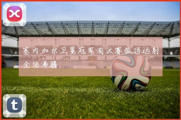 塞内加尔卫冕冠军淘汰赛弧顶远射全场沸腾