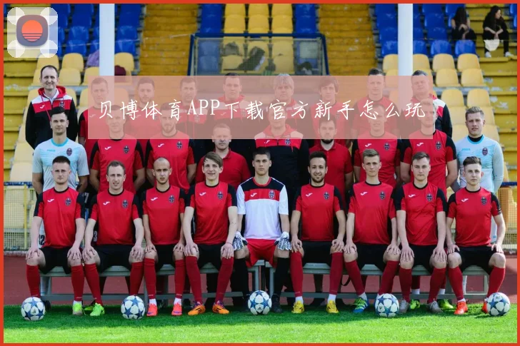 贝博体育APP下载官方新手怎么玩